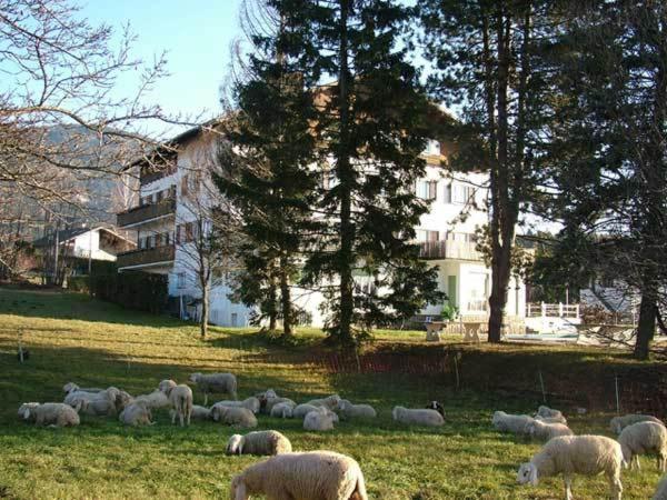 Hotel Due Pini Baselga di Pinè Exterior foto